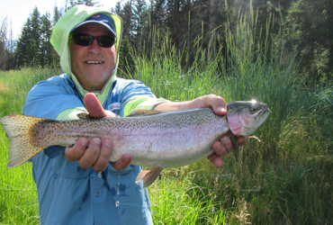 Wild Adventure Guides