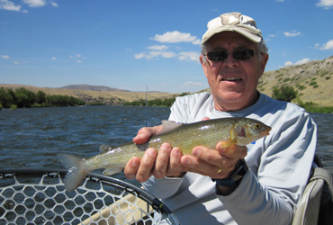 Wild Adventure Guides