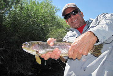 Wild Adventure Madison