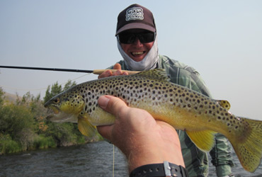 Wild Adventure Madison