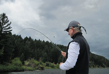 Wild Adventure Madison