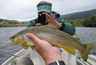 Wild Adventure Fly Fishing