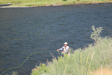 Wild Adventure Madison