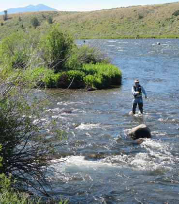 Wild Adventure Walk and Fish