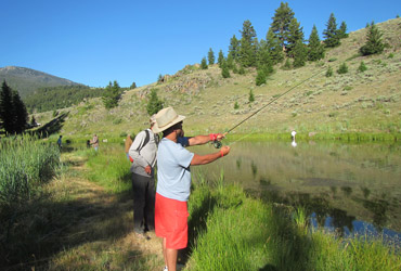 Wild Adventure Practice