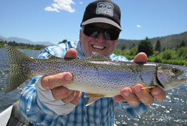 Wild Adventure Trout