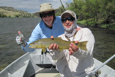 Wild Adventure Top Guides