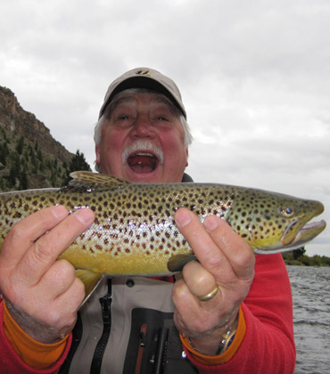 Wild Adventure Brown Trout