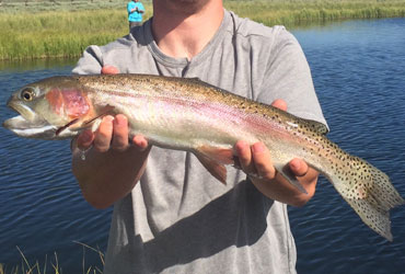 Wild Adventure Fly Fishing Madison River