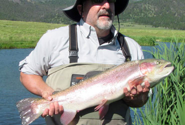 Wild Adventure Great Conversations