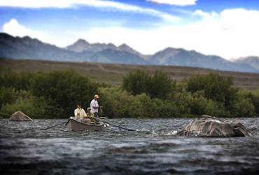 Wild Adventure Guided Fly Fishing photo